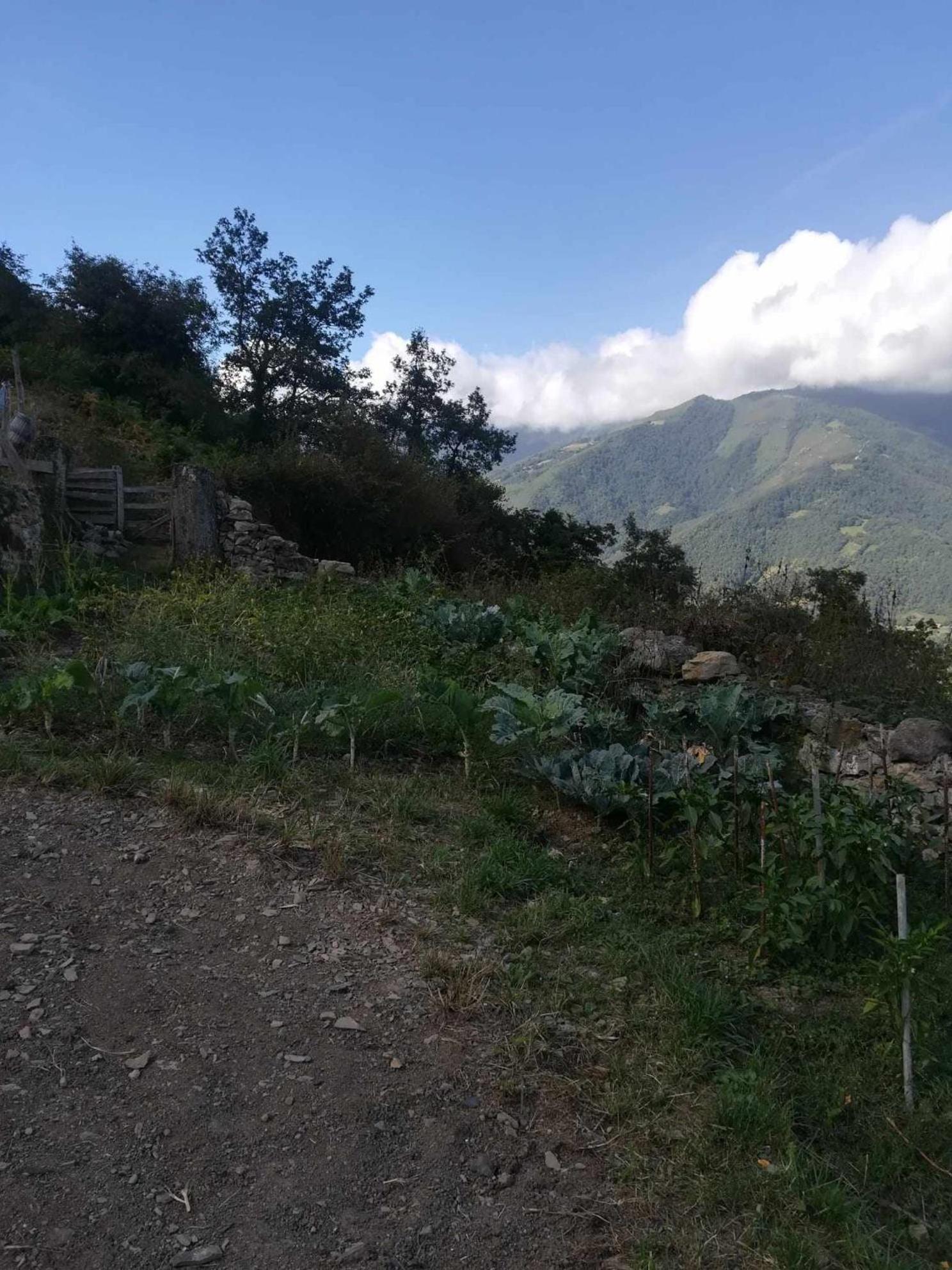 AllerAsturias Boho Chic公寓 外观 照片