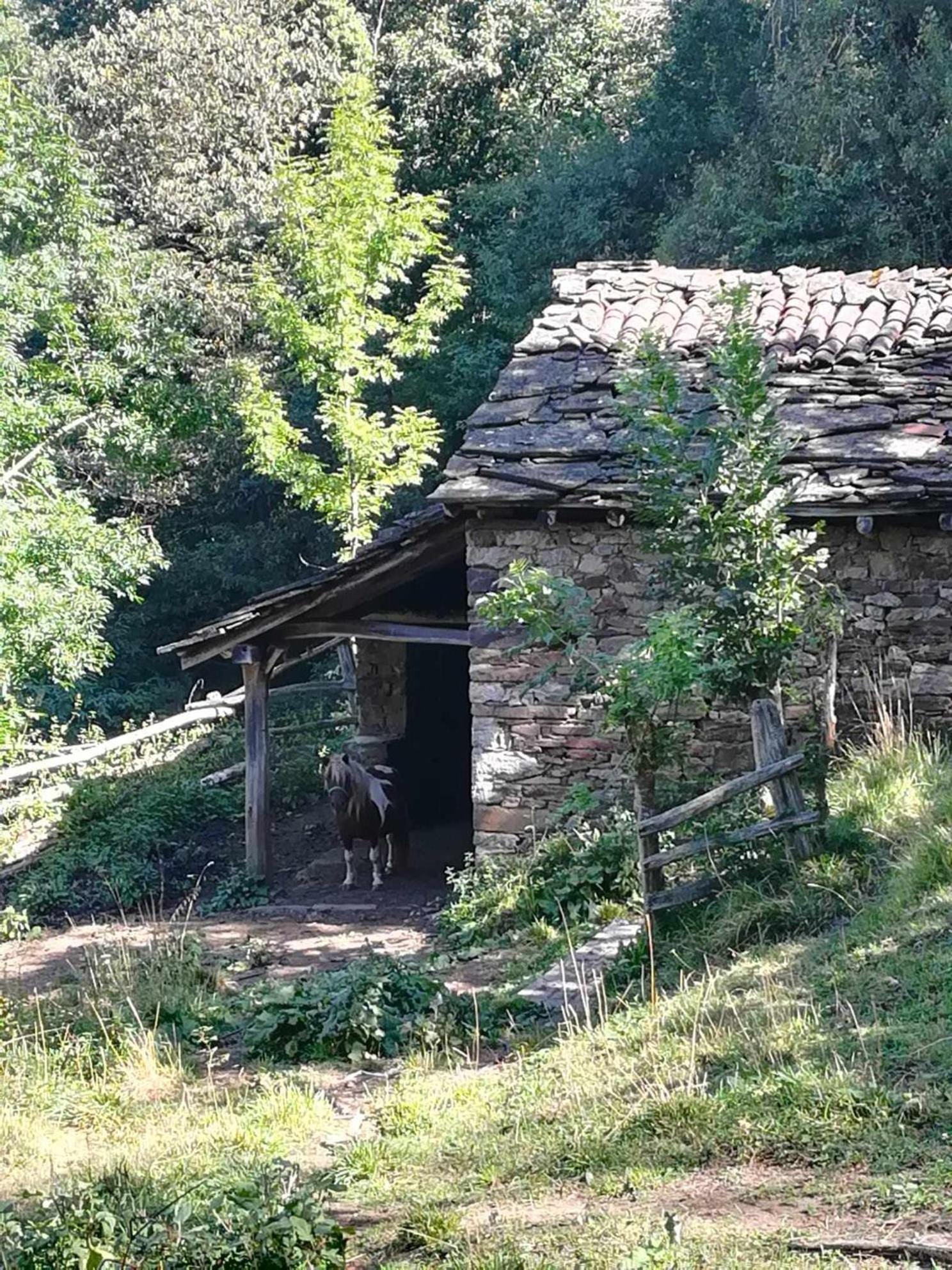 AllerAsturias Boho Chic公寓 外观 照片