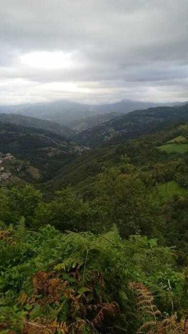 AllerAsturias Boho Chic公寓 外观 照片