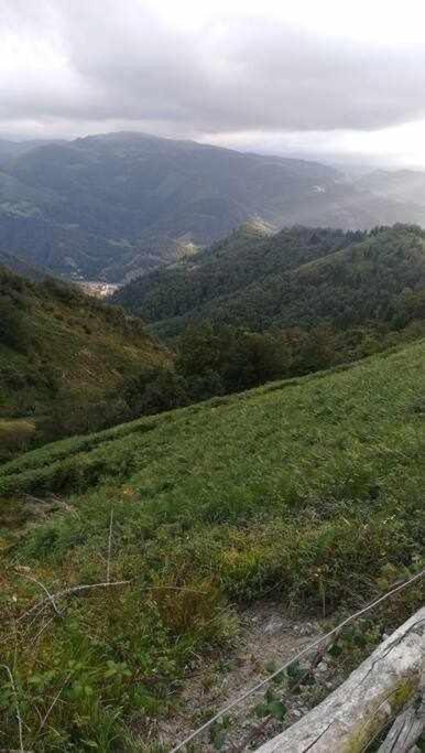 AllerAsturias Boho Chic公寓 外观 照片