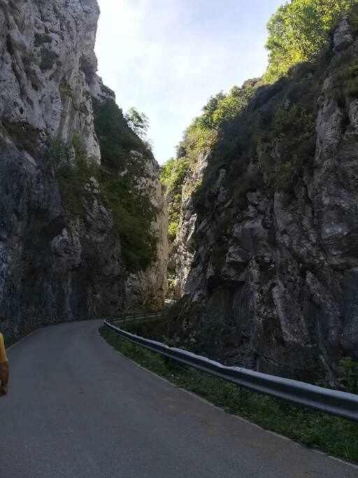 AllerAsturias Boho Chic公寓 外观 照片