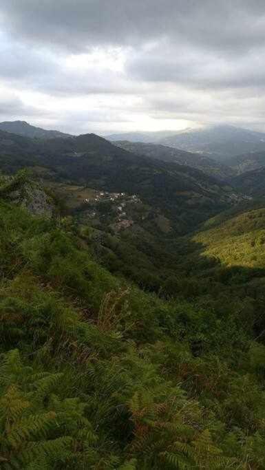 AllerAsturias Boho Chic公寓 外观 照片